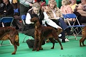 Crufts2011 078